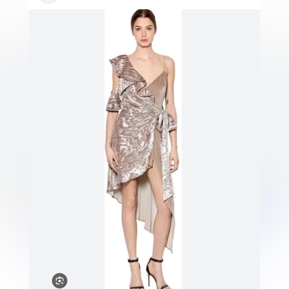 🌸Self-Portrait Velvet Devore Asymmetric Wrap Dress Size 2